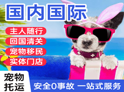 沈阳桃仙航空运输国际宠物托运 【国